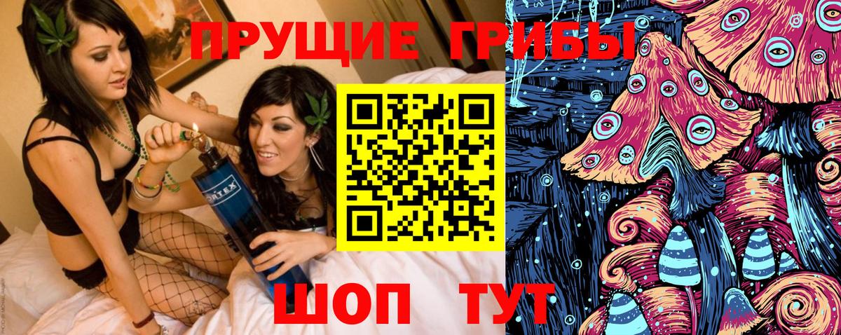 Горно-Алтайск  где купить наркоту  Галлюциногенные грибы Magic Shrooms  Вход с VPN  Галлюциногенные грибы GOLDEN TEACHER 